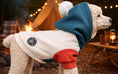 Load image into Gallery viewer, Chic hoody
