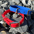 Load image into Gallery viewer, Elastoplastic collar