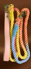 Load image into Gallery viewer, Braided leash