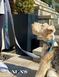 Load image into Gallery viewer, Knitted leash