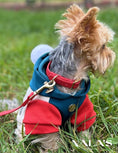 Load image into Gallery viewer, Chic hoody