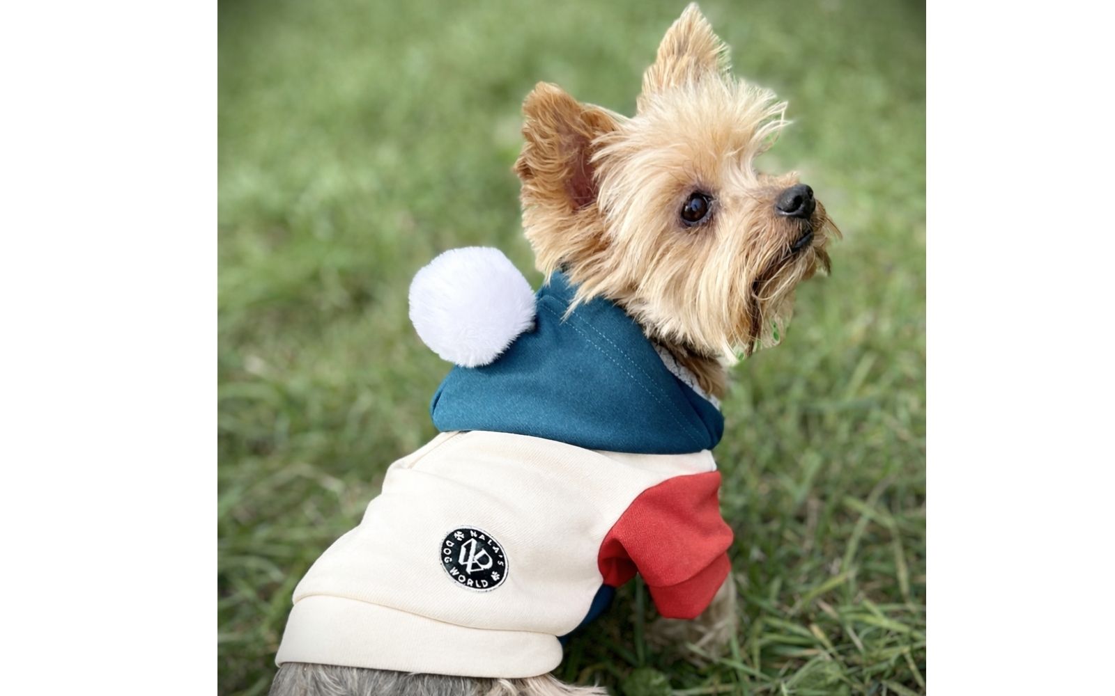 Chic hoody