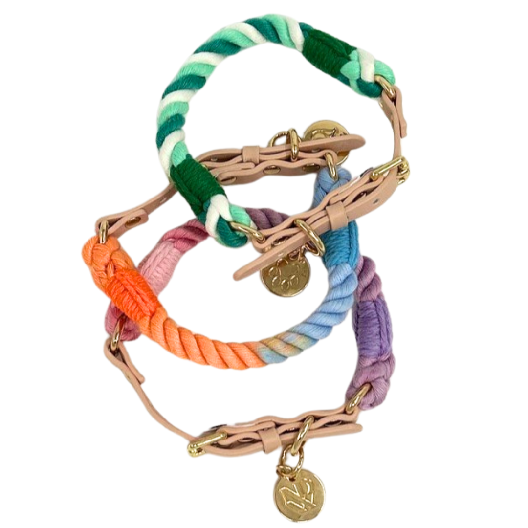 Braided dog collar for small dogs made of vegan leather