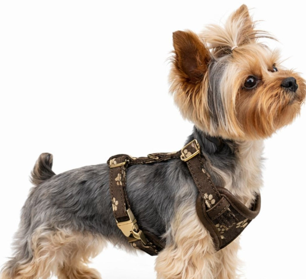 NDW pattern harness