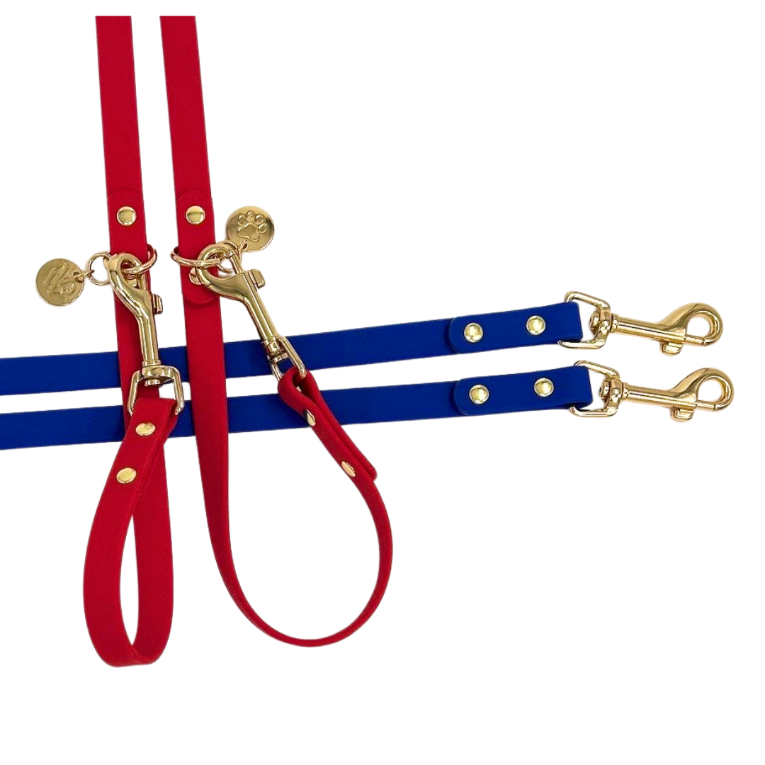 Waterproof leash for small dogs