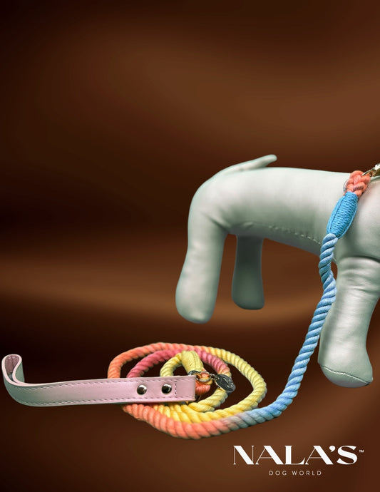 Braided leash