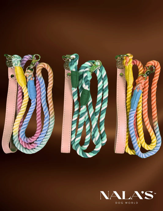 Braided leash