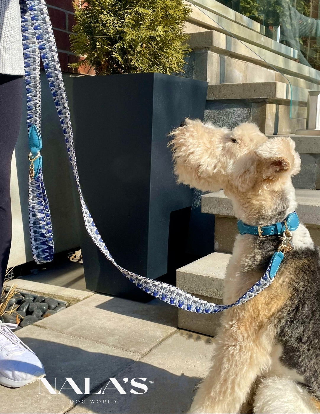 Knitted leash
