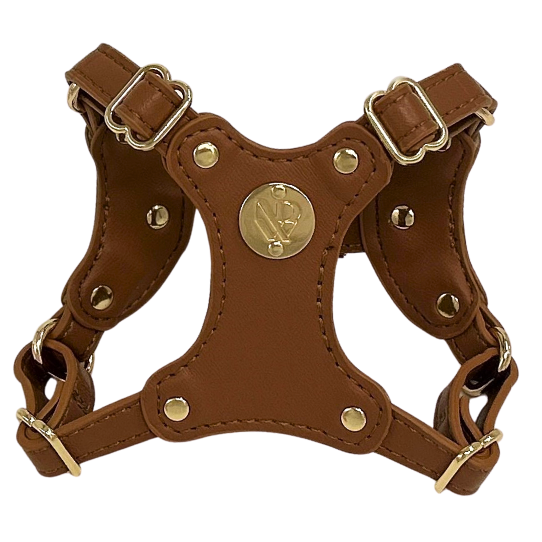 Vegan leather harness