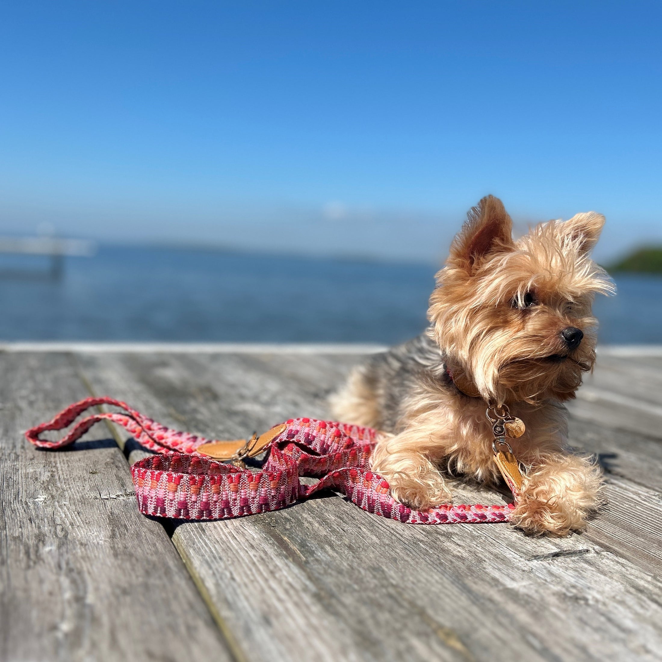 Knitted leash