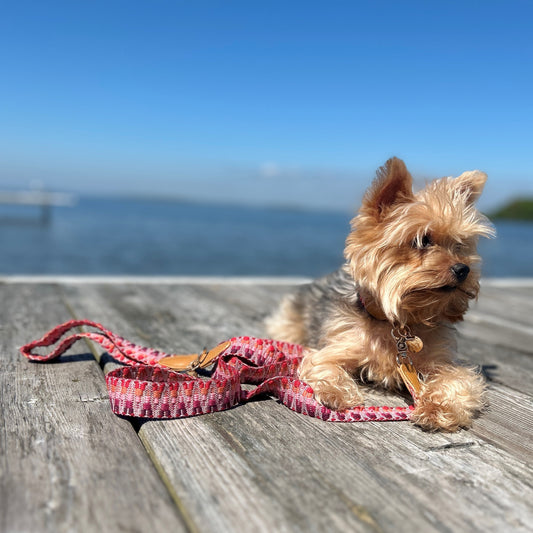 Knitted leash