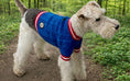 Load image into Gallery viewer, Knitted sweater
