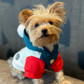 Load image into Gallery viewer, Chic hoody for small dog fashion
